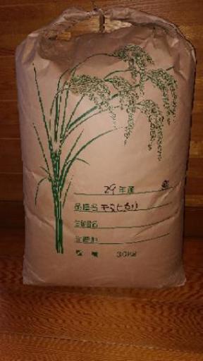 自家製米キヌヒカリ30キロ