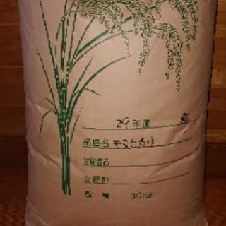 自家製米キヌヒカリ30キロ