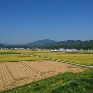 移住者歓迎 田舎暮らし古民家賃貸でました 地域貢献 大家直ですので格安提供です 人気の櫛渕町 まずでません Reterace 小松島の一戸建ての不動産 住宅情報 無料掲載の掲示板 ジモティー