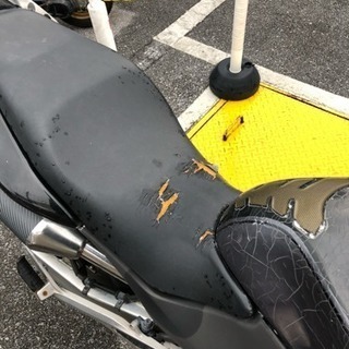 ホーネット250の画像