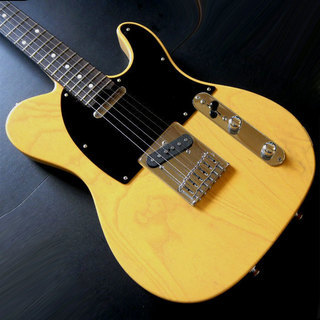 美品 SCHECTER シェクター テレキャスター N-PT-AS/BTS/R