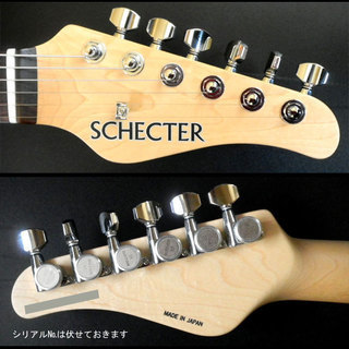 美品 SCHECTER シェクター テレキャスター N-PT-AS/BTS/R 弦楽器、ギター 