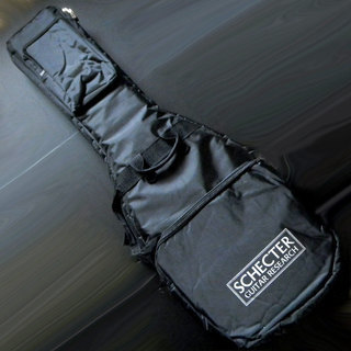 美品 SCHECTER シェクター テレキャスター N-PT-AS/BTS/R