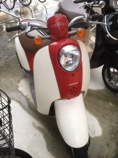 ホンダ　スクーピー