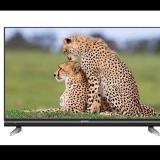 3月限定【新品】 60V型 液晶 テレビ AQUOS LC-60XL20 フル