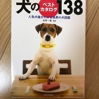 犬のベストカタログ☆美品♪