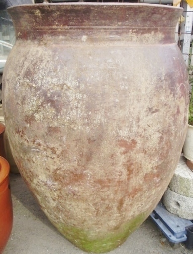 大甕