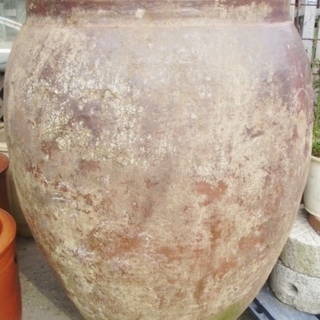 大甕