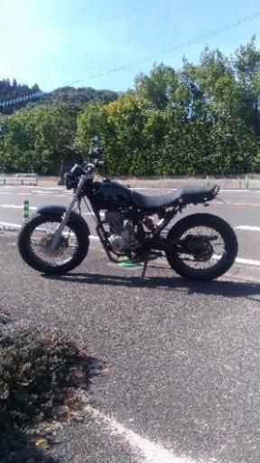 ホンダFTR自賠責付き