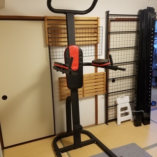 フィットネス、トレーニング リーディングエッジ パワータワー 懸垂 