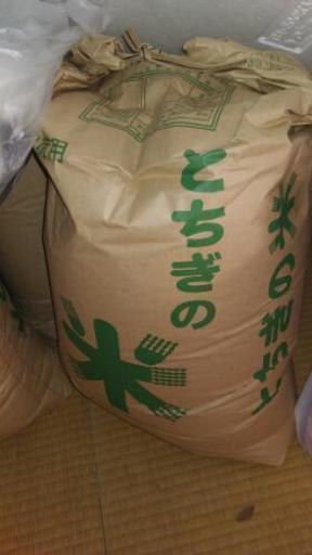 お米(玄米)　30㎏
