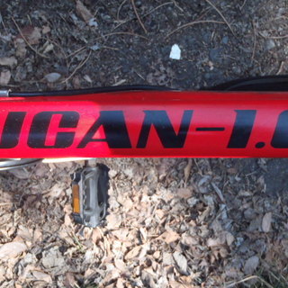 GIANTのMTB　中古自転車　150