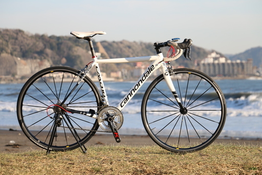 値下げ!! キャノンデール CAAD10 (Size:50) MAVIC・LOOK付き！