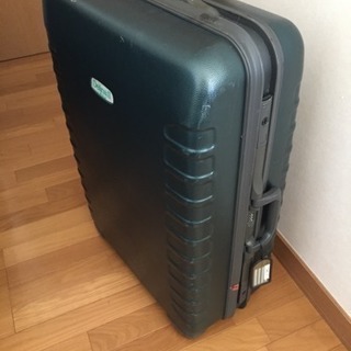 大きめのスーツケースです