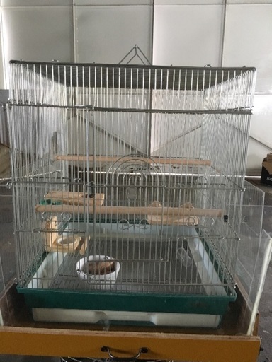 発送可能 ホーエイ オカメ用 鳥かご ケージ アクリルケース付き