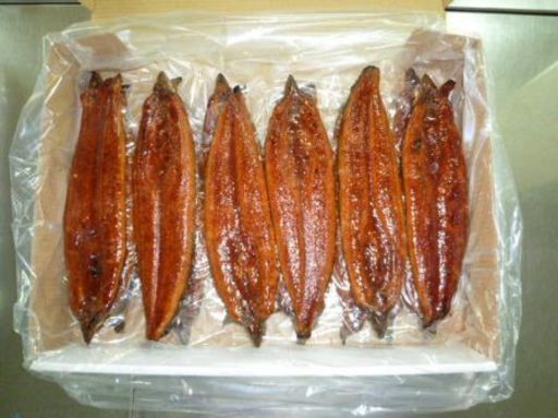国産冷凍うなぎ蒲焼き 10尾セット(1尾約250g) ※1尾づつ真空