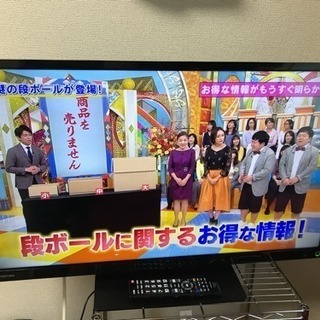 2015年製 REGZA 32型 液晶テレビ 32S10 TOSHIBA 東芝 板橋区の画像