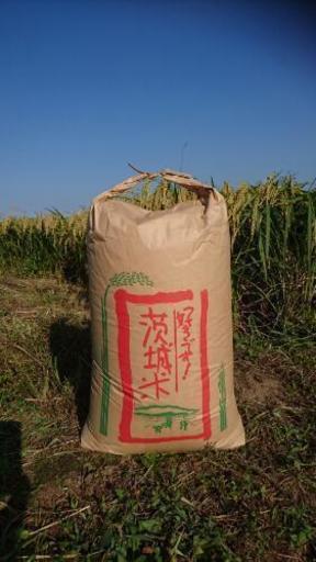 茨城29年産マンゲツモチ玄米30㎏×30袋