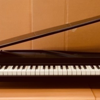 KORG製マイクロ電子ピアノ