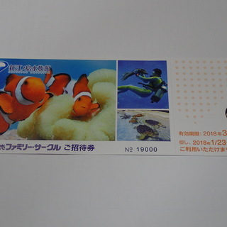 新江の島水族館　招待券　３月３１日まで　１枚