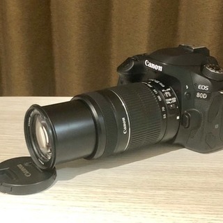 Canon 55-250 望遠レンズ （キャノン 一眼用）