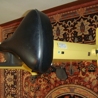 コナミスポーツクラブ エアロバイクai バタフライイエロー