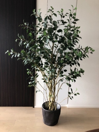 造花・美品