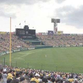 阪神vsソフトバンク　5月31日18時☆アルプス席４連席☆