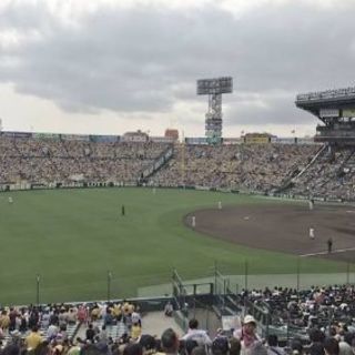 阪神vsソフトバンク　5月31日18時☆アルプス席４連席☆