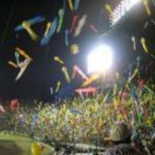 阪神vsソフトバンク　5月31日18時☆アルプス席４連席☆