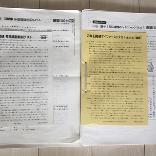 日能研3年生（2016年度版）