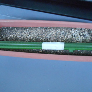 緑のカーテン用プランター（土入り）と支柱・無料で