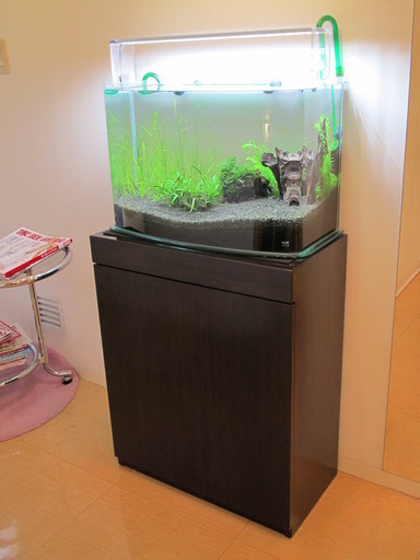 水槽セット