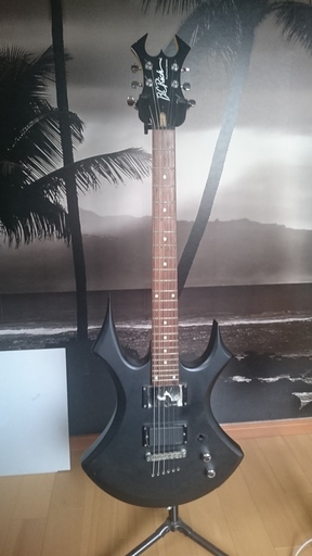 弦楽器、ギター B.C.Rich virgin