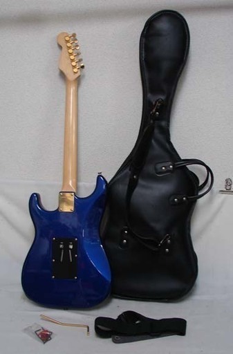 FERNANDES/フェルナンデス エレキギター ストラトタイプ ソフトケース