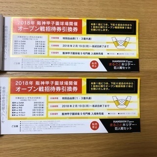 阪神タイガース オープン戦チケット ペア