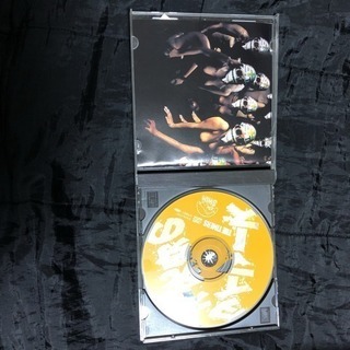 値下げ！【廃盤】不死身のタイマーズ 帯付き