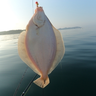 初心者限定！【船釣り】を一緒にやってみませんか？