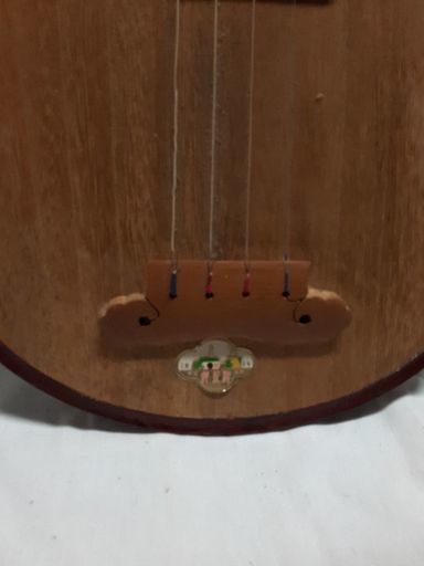 琵琶 中国琵琶 柳琴