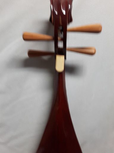 琵琶 中国琵琶 柳琴