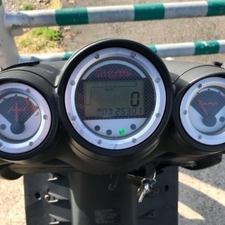 マラグーティファントムマックス250