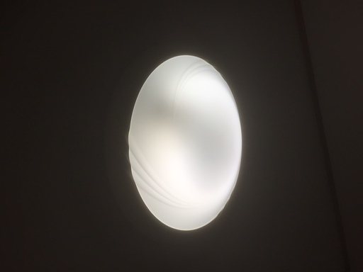 天井照明器具