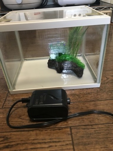 水槽とエアーポンプセット差し上げます たけきよ 中野島のその他の中古あげます 譲ります ジモティーで不用品の処分