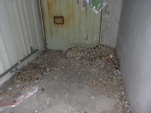 かめさわはと捕獲 鳩捕獲専門業者 九州一円出張可能 鳩よけネット設置 鹿児島県霧島市の鳩捕獲業者 宮崎県の鳩駆除業者 かめさわ 嘉例川の便利屋の無料広告 無料掲載の掲示板 ジモティー