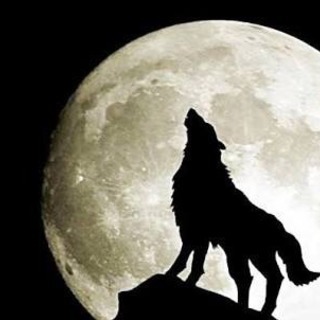 3月17日(土) 🐺大阪人狼オフ会🐺の画像