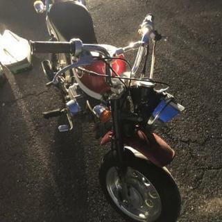 モンキー激安❗