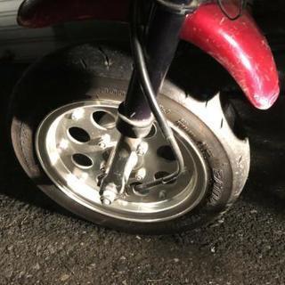 モンキー激安❗