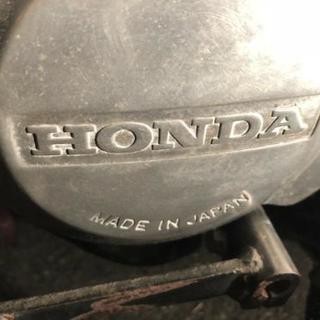 モンキー激安❗