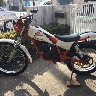 ホンダ 値下げ希少トライアル TLM５０