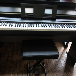 YAMAHA　P-45B　2015製　￥27.000-